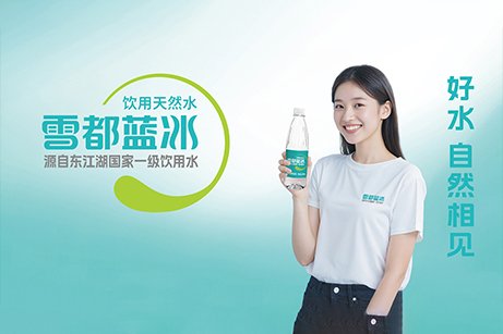 雪都藍冰品牌策劃,雪都藍冰logo設(shè)計