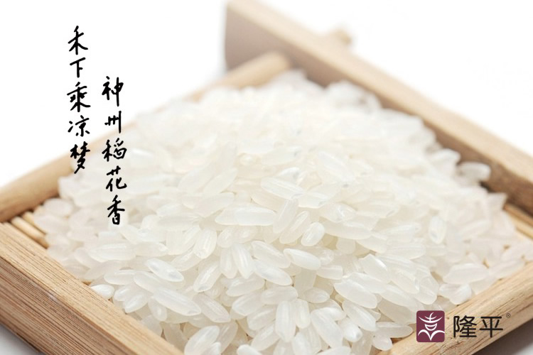 隆平大米包裝設計,隆平大米畫冊設計