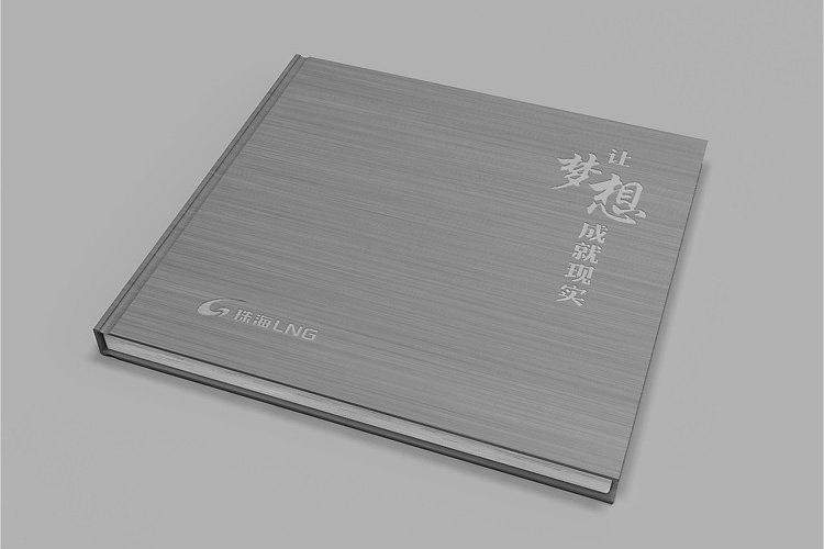 珠海LNG畫冊設(shè)計