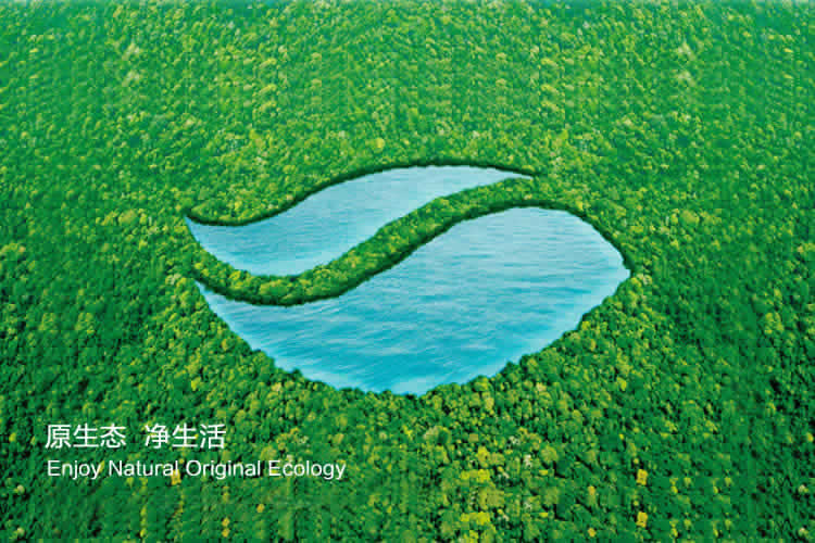 源森態(tài)標(biāo)志設(shè)計,源森態(tài)畫冊設(shè)計