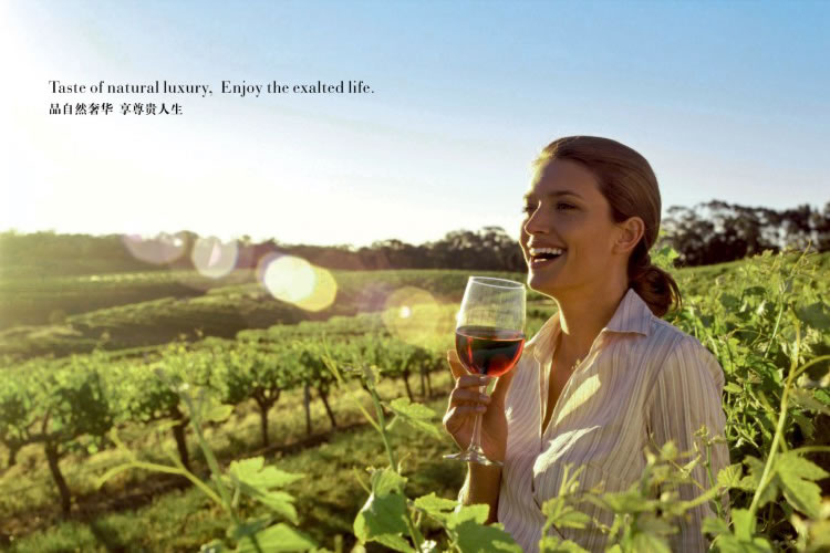 唯澳佳標(biāo)志設(shè)計(jì),唯澳佳畫冊(cè)設(shè)計(jì)