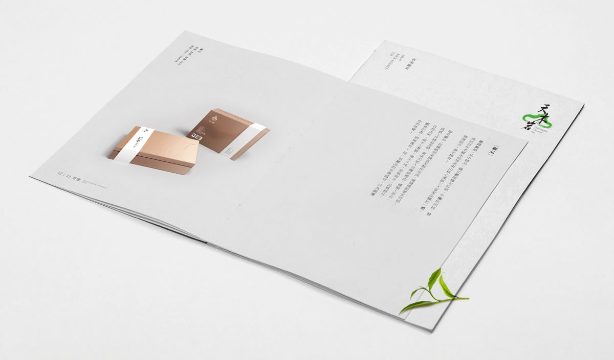 天木巖商標(biāo)設(shè)計(jì),天木巖logo設(shè)計(jì),天木巖畫冊設(shè)計(jì)_全力設(shè)計(jì)