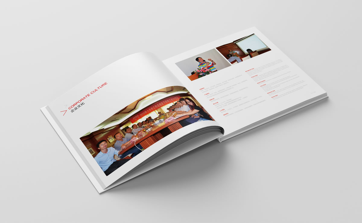 渴望集團(tuán)商標(biāo)設(shè)計,渴望集團(tuán)logo設(shè)計,渴望集團(tuán)畫冊設(shè)計