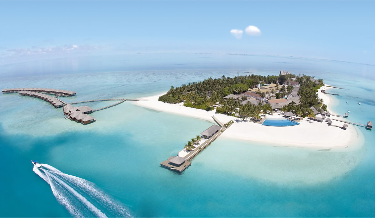 山谷巴巴商標(biāo)設(shè)計(jì),山谷巴巴logo設(shè)計(jì),山谷巴巴畫冊(cè)設(shè)計(jì)