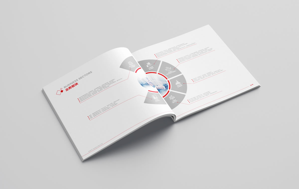 鼎鴻,深圳鼎鴻發(fā)展顧問有限公司,鼎鴻畫冊策劃設(shè)計