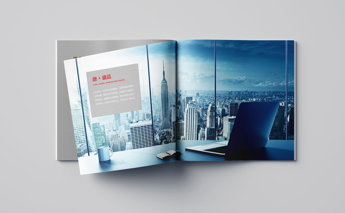 鼎鴻,深圳鼎鴻發(fā)展顧問有限公司,鼎鴻畫冊策劃設(shè)計