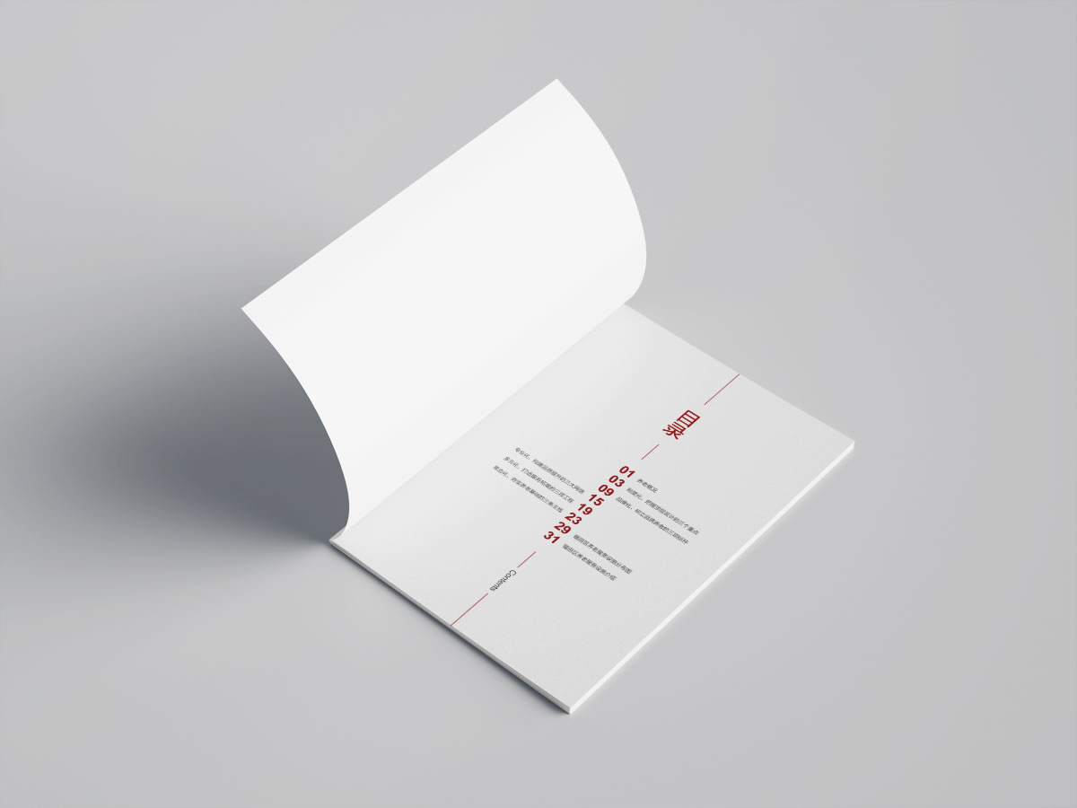 民政局機(jī)構(gòu)宣傳畫冊(cè)規(guī)劃設(shè)計(jì)_全力設(shè)計(jì)