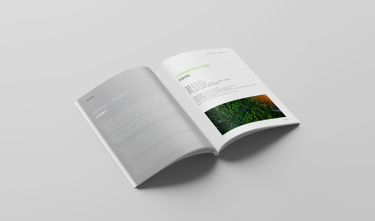 雄獅景觀畫冊設(shè)計,雄獅景觀標志設(shè)計,雄獅景觀品牌形象設(shè)計,雄獅景觀LOGO設(shè)計