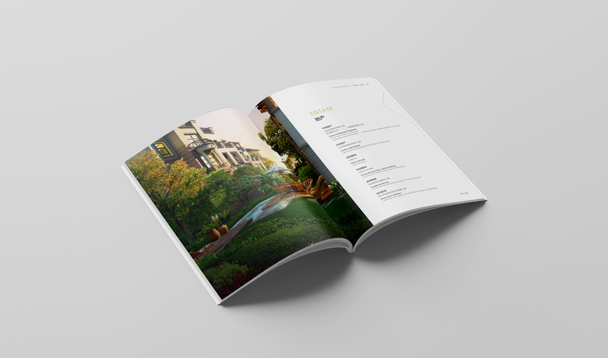 雄獅景觀畫冊設(shè)計,雄獅景觀標志設(shè)計,雄獅景觀品牌形象設(shè)計,雄獅景觀LOGO設(shè)計