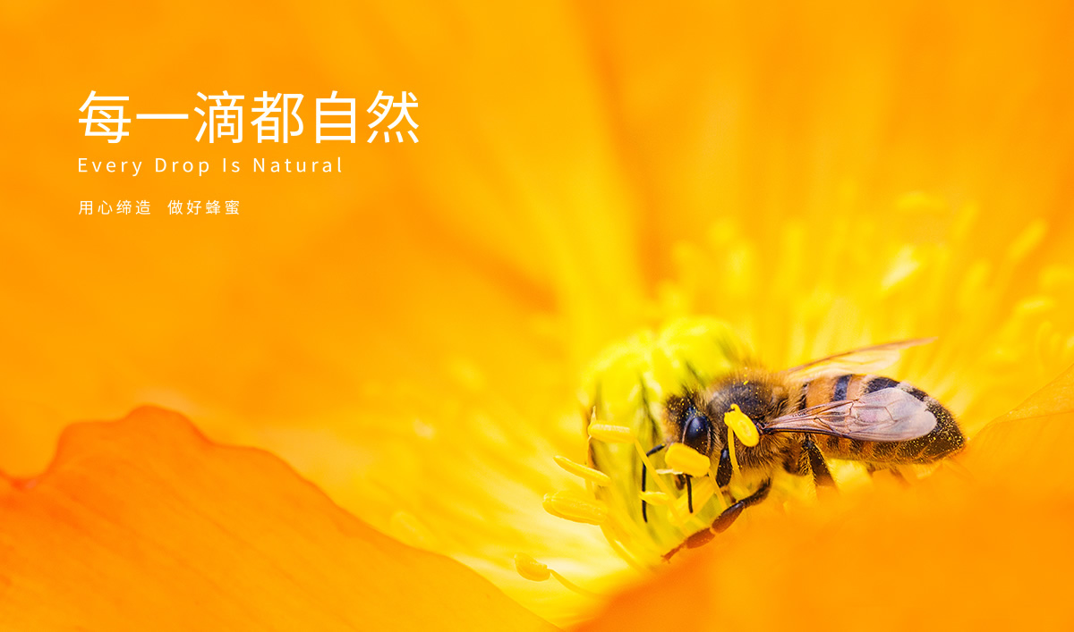 九青云包裝設(shè)計,九青云禮盒設(shè)計,九青云品牌設(shè)計,產(chǎn)品包裝設(shè)計,包裝設(shè)計