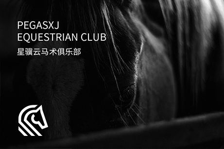 星驥云品牌設(shè)計,星驥云LOGO設(shè)計,星驥云IP設(shè)計,星驥云商標(biāo)設(shè)計